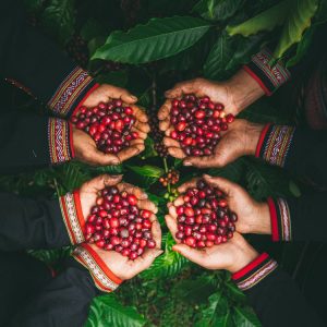 cà phê nguyên chất Nông Trang cafe